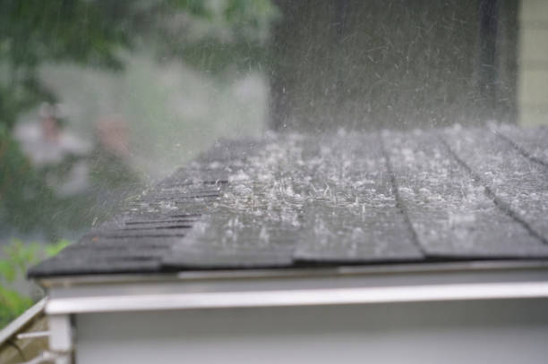 Best Roof Coating and Sealing  in Abbeville, SC