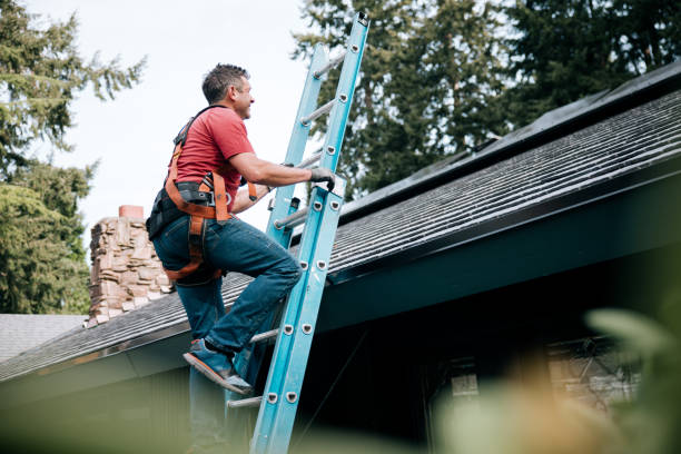Best Chimney Flashing Repair  in Abbeville, SC